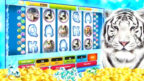 $595 ókeypis spilapeningur á Omni Slots Casino